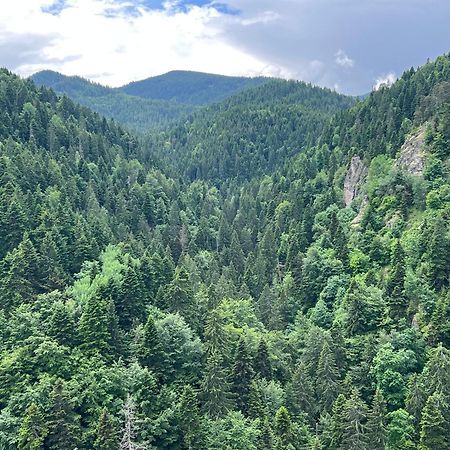 Arboro Borovets Gardens E68 Apartment Luaran gambar