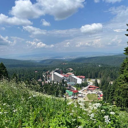 Arboro Borovets Gardens E68 Apartment Luaran gambar