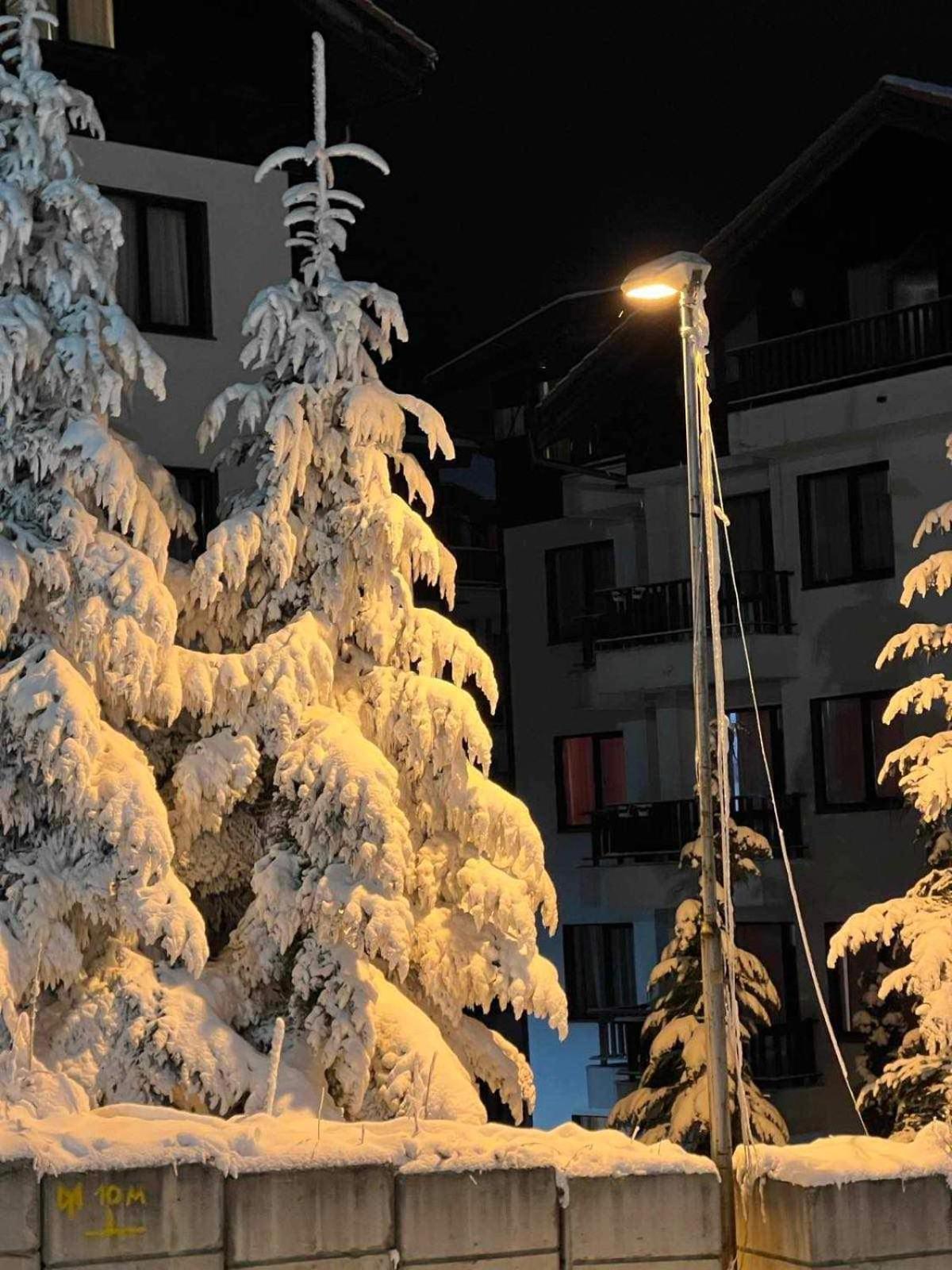 Arboro Borovets Gardens E68 Apartment Luaran gambar