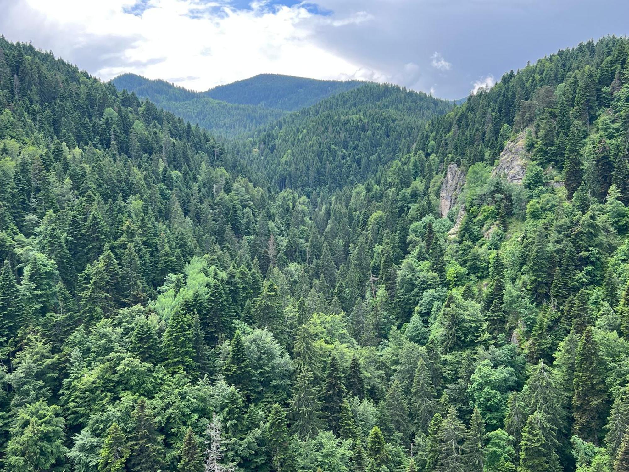Arboro Borovets Gardens E68 Apartment Luaran gambar