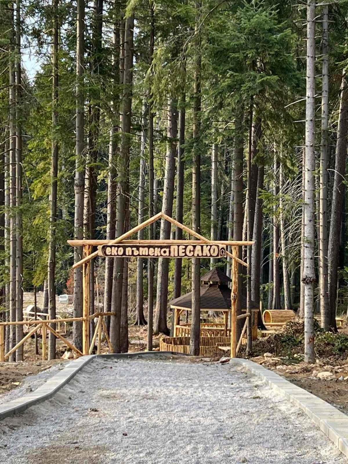 Arboro Borovets Gardens E68 Apartment Luaran gambar