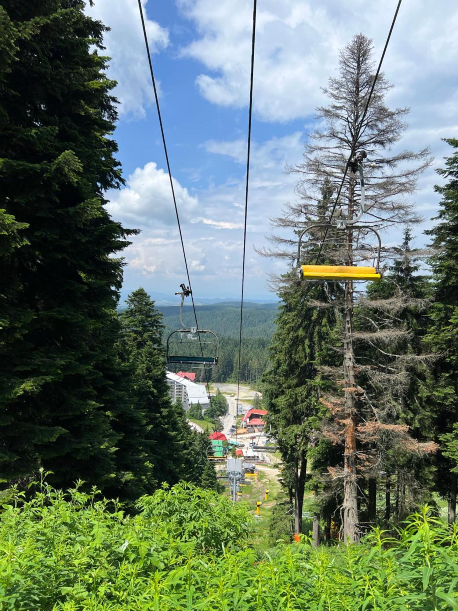 Arboro Borovets Gardens E68 Apartment Luaran gambar
